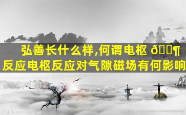 弘善长什么样,何谓电枢 🐶 反应电枢反应对气隙磁场有何影响